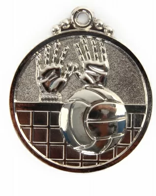 картинка Медаль Larsen волейбол 50 мм серебряная 