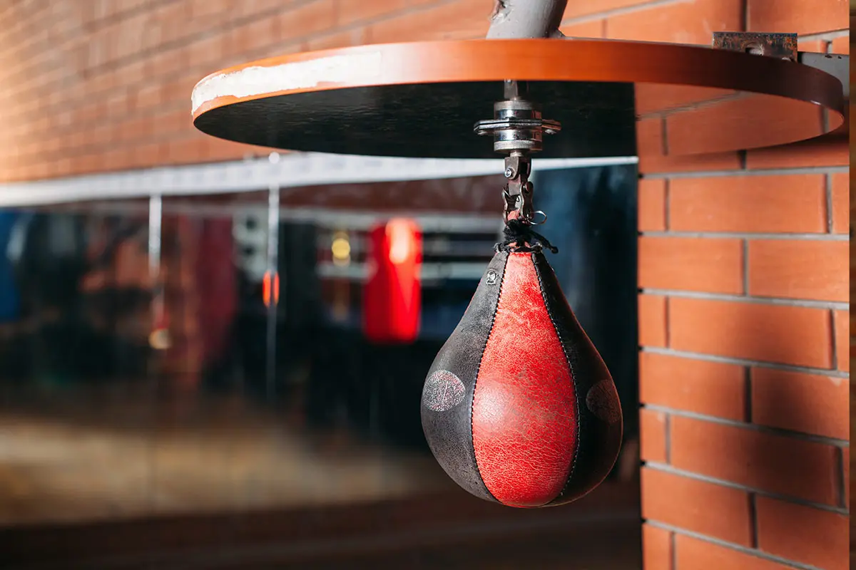 boxers-train-ring-gymsfsf.jpg